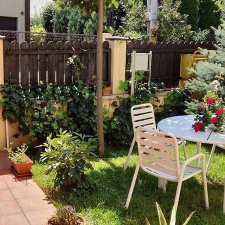 Villa D&D Vila à Iasi Extérieur photo