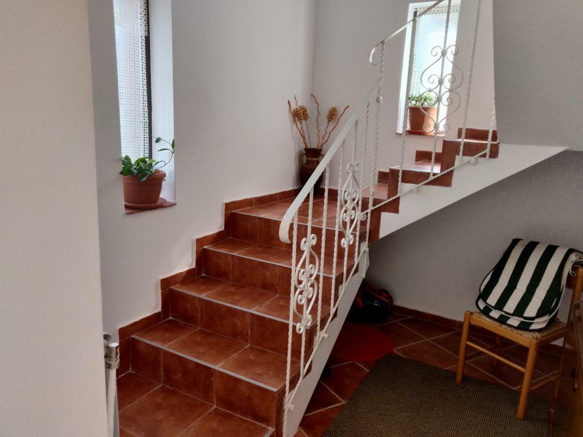 Villa D&D Vila à Iasi Extérieur photo