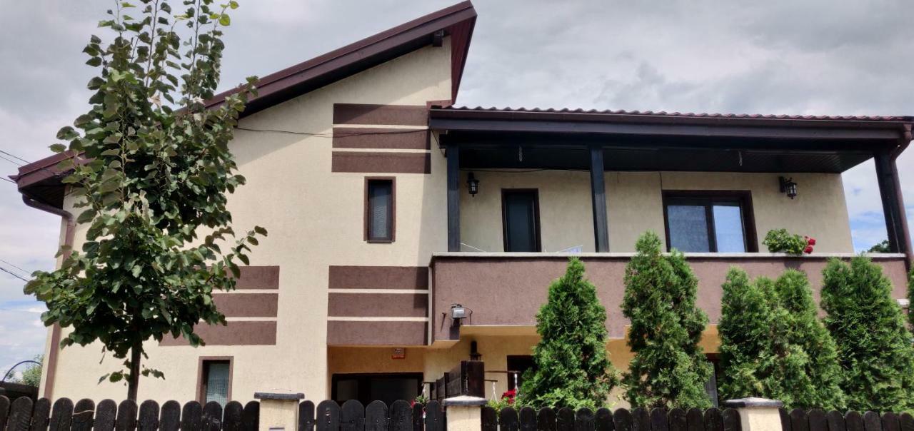 Villa D&D Vila à Iasi Extérieur photo