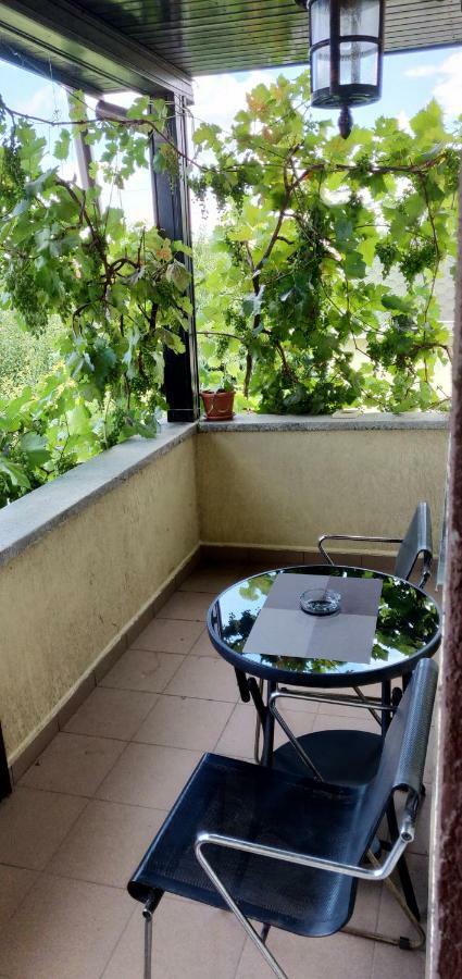 Villa D&D Vila à Iasi Extérieur photo